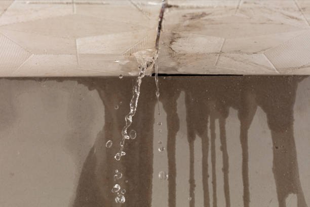 Professional Water Damage Repair technician working in South Easton, MA